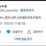 [스키즈] 스키즈가 <b>방황</b>하는 이유래