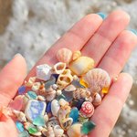 바다에서만 찾을 수 있는 <b>보물들</b>