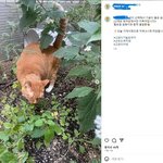[이것좀봐줘] 인스타 카페 <b>위생</b> 왜이러는거야.....