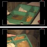 요즘 군대는 개꿀 아님?