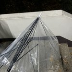 조카 <b>개박</b>살 난 내 우산