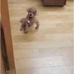 이행동  저한테 <b>무슨말</b>을  하는걸까요?