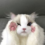 [모두드루와] 방탄팬들은 <b>sm</b>에 감사한 마음을 가지도록