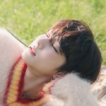 엔하이픈 <b>정원</b> 요즘 무슨일이야