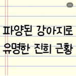 강아지 <b>파양</b>한 후 무지개다리 건넌 척 인스타 글 올린 <b>파양</b>자 ㄷㄷ;;