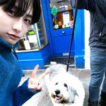<b>태산</b>이랑 강아지 셀카
