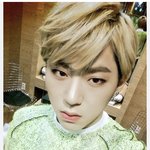 인스타보다 위버스를 더 많이 하는