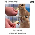 [<b>TXT</b>] 수비니당