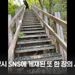 곰 ㄹㅇ호러 그 자체다