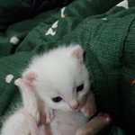 <b>두부</b>랍니다^^