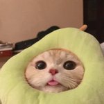 [댓글부탁해] 내 <b>PR</b> 좀 할게.