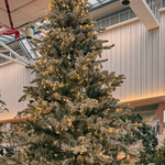 더현대 크리스마스 2차 오픈 <b>공지뜸</b>