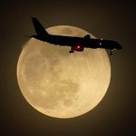 아니 부모가 다해<b>주나</b> 아무것도 안함