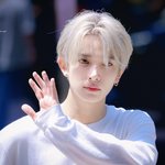 [엔하이픈] 리무진서비스에서 번호 따인 4세대 남돌