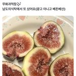 소심발언인데 <b>무화과</b> ㅈㄴ징그럽게 생김