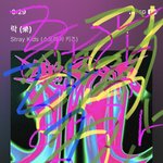 [스키즈] 다들 지금까지 감상<b>횟수</b> 몇이야?