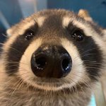 [드루와] 나 오늘 알바하면서 <b>비수</b>꽂힘 ㅋㅋ