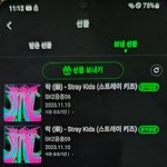 [스키즈] 정말