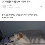 [드루와] 롱<b>코트</b> 있는사람 어디서샄ㅅ음????????