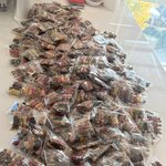 [모두드루와] 설윤 역<b>조공</b> 짱이다