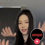 카리나 챌린지로 보는 비주얼 <b>순위</b>