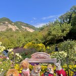 [강아지] 어제 나는 해피와 긴 작별 인사를 했다.