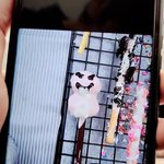 [TXT] 수비니와 태혀니가 만든 <b>루피</b>를 알아보자