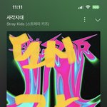 [스키즈] 테이들아 지짜 <b>따듯</b>하게 입고 댕겨