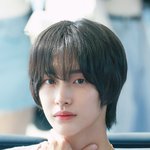 판녀들아 <b>솔직</b>한 대답 ㅂㅌ