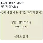 <b>주말</b>이 짧게느껴지는 이유