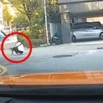 <b>대변</b> 치우다 택시기사에게 치인 여성 “치료비 많다고 소송당했습니다”...