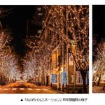 겨울의 밤을 아름답게 수놓는 도쿄의 일루미네이션 소개
