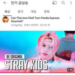 [스키즈] 스춤,미국 <b>일본</b>인동