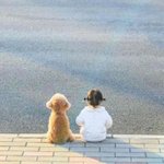왜 가을이 없냐
