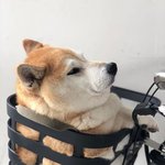 오히려 <b>아늑</b>하고 편안해