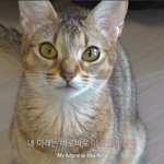 [TXT] <b>유튜브</b> 보는데 얘 태현이 닮았어