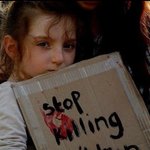 뜬끔<b>이지만</b> Free Palestine