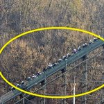 에버랜드 <b>롤러</b>코스터 티익스프레스 사고 발생.갑자기 멈춰…"놀이기구...