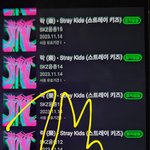 [스키즈] 혹시 우리 투표