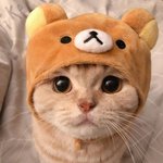 나도 모르게 엄마미소 <b>발사</b>되네