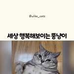 [댓글부탁해] 아 내남친 왜케 웃기지