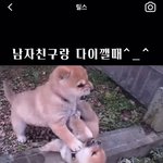 [드루와] 릴스 이런거 ㅈㄴ 킹받아