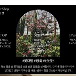 <b>디퓨져</b> 향 잘알들아 골라주라 번호만 써줘