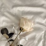 친구 빡쳐서 <b>단톡</b> 나갔는데 귀찮아서 무시했거든