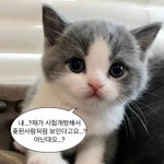 다들 <b>슈</b><b>능</b> 끝나고 하하호호 나오는데