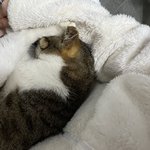 <b>힐링</b>된다..
