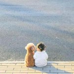 <b>언매</b>도 어려웟던 거 맞지???