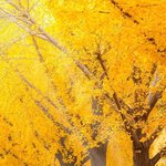<b>시인</b> 김남열 / 바꿀 수 있는 과거
