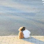 [댓글부탁해] 요사진 <b>출처</b> 아는분 ㅠㅠ