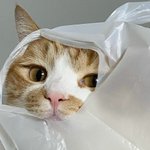 난 국어에서 잊는 게 병인지 뭔지 그 <b>지문</b>보다